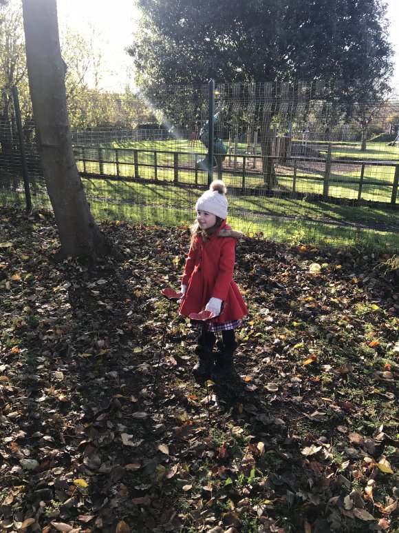 Remembrance Sunday Poppy Planting