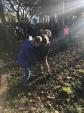 Image: Remembrance Sunday Poppy Planting