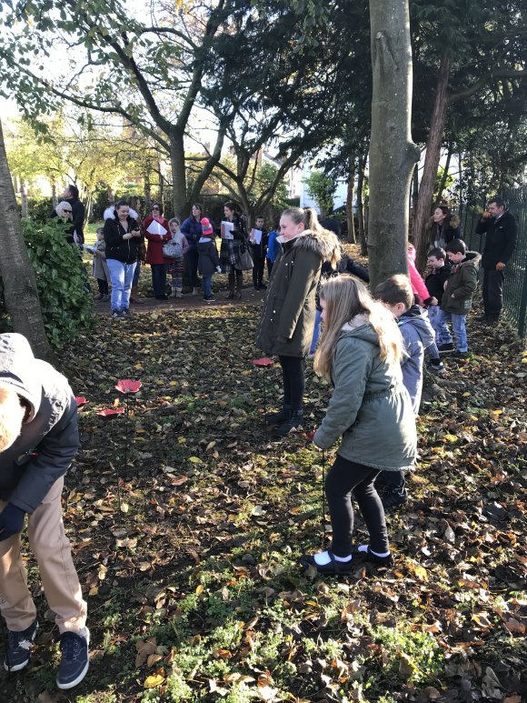 Remembrance Sunday Poppy Planting