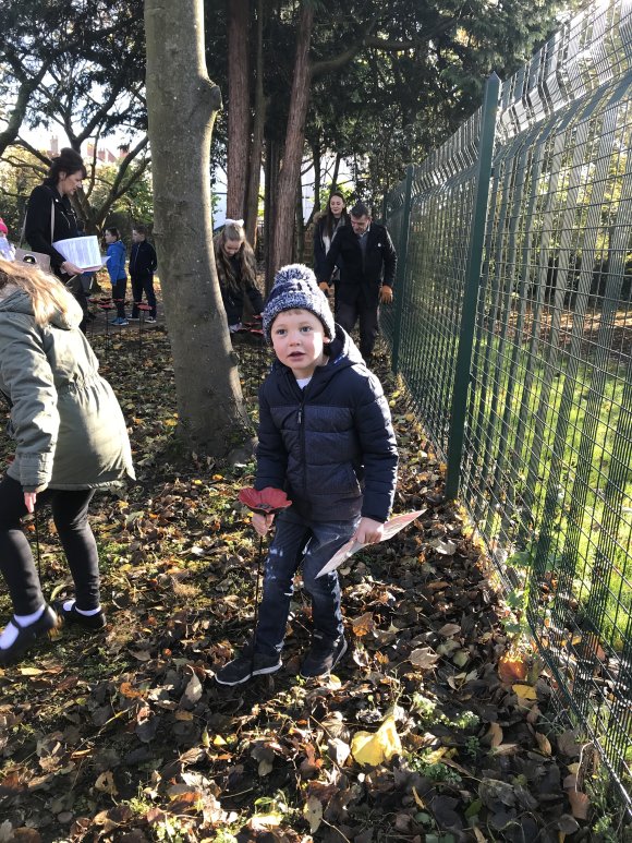 Remembrance Sunday Poppy Planting