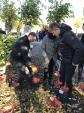 Image: Remembrance Sunday Poppy Planting